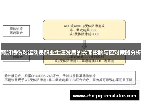 肾脏损伤对运动员职业生涯发展的长期影响与应对策略分析 肾脏损伤对运动员职业生涯发展的长期影响与应对策略分析